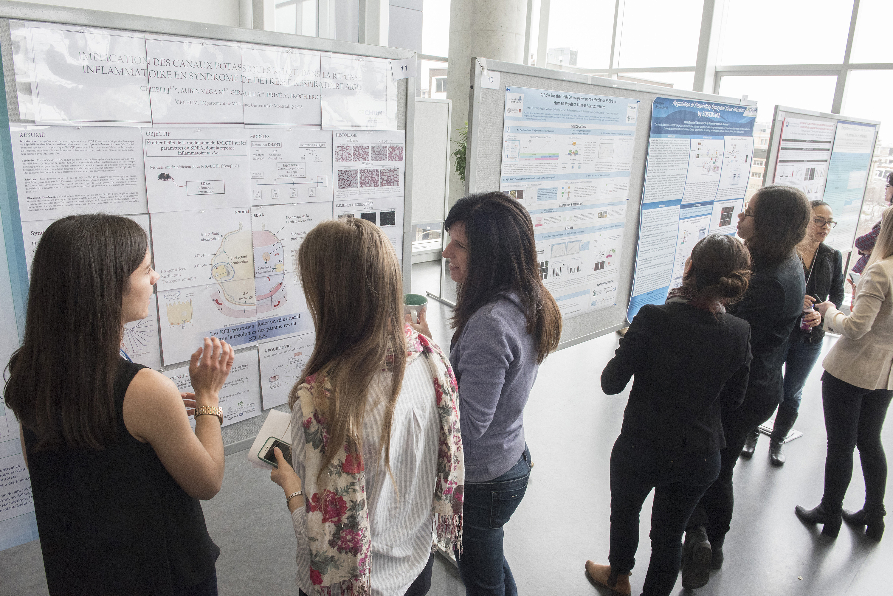 Exposition affiches étudiantes