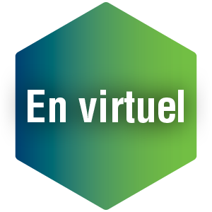 Innove-Action_virtuel